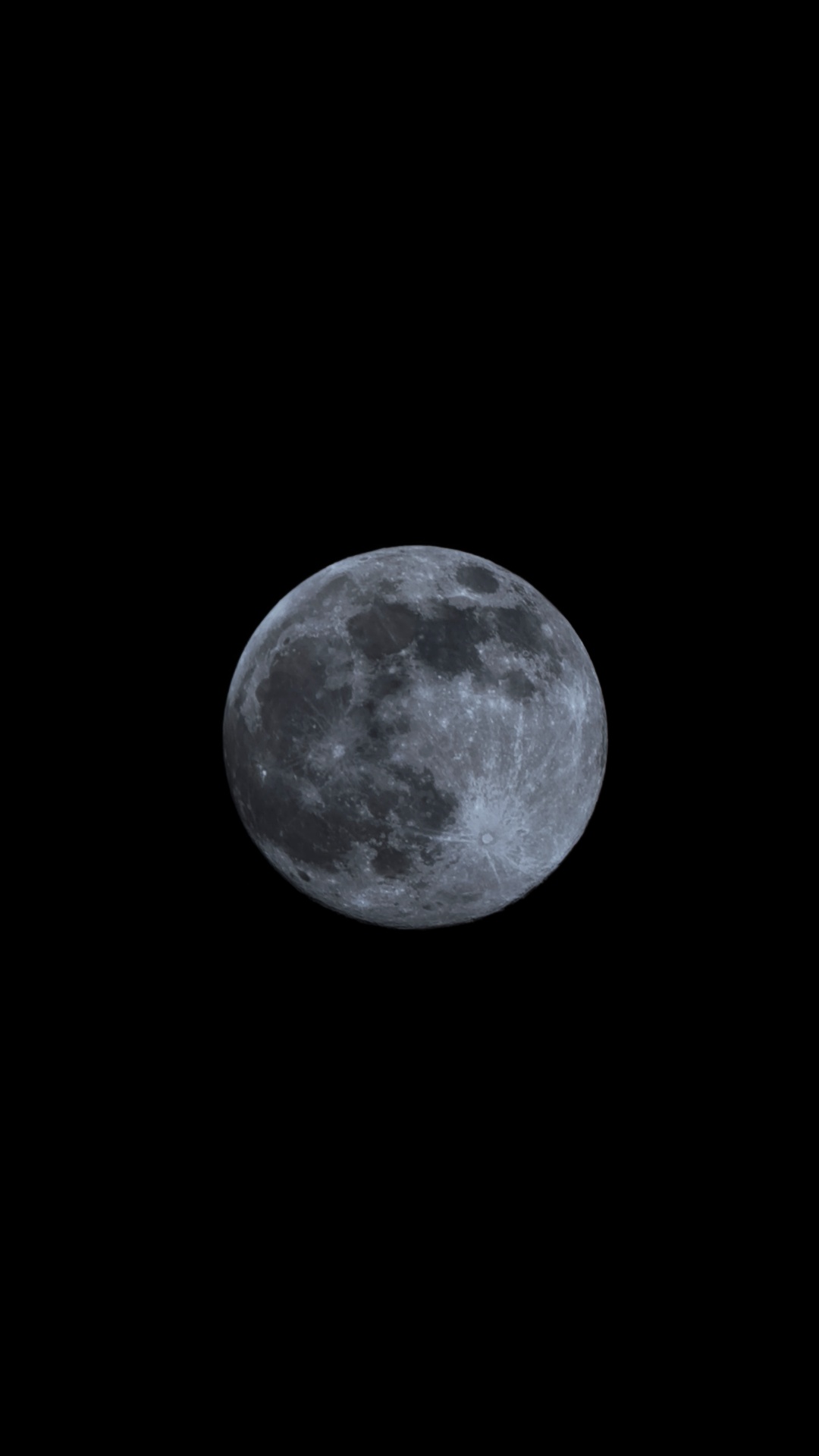 Image was captured on 11-04-2025.