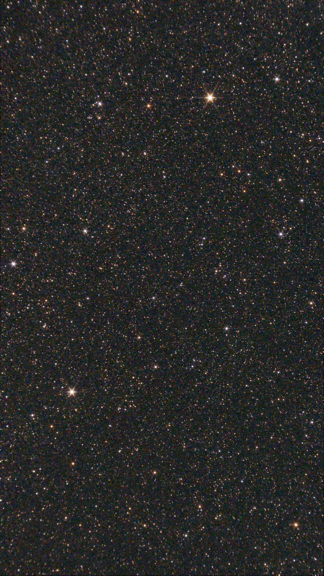 Image captured on 11-08-2025.